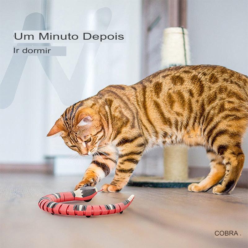 Brinquedo Para Gato Cobra Inteligente - Manias Brasileira